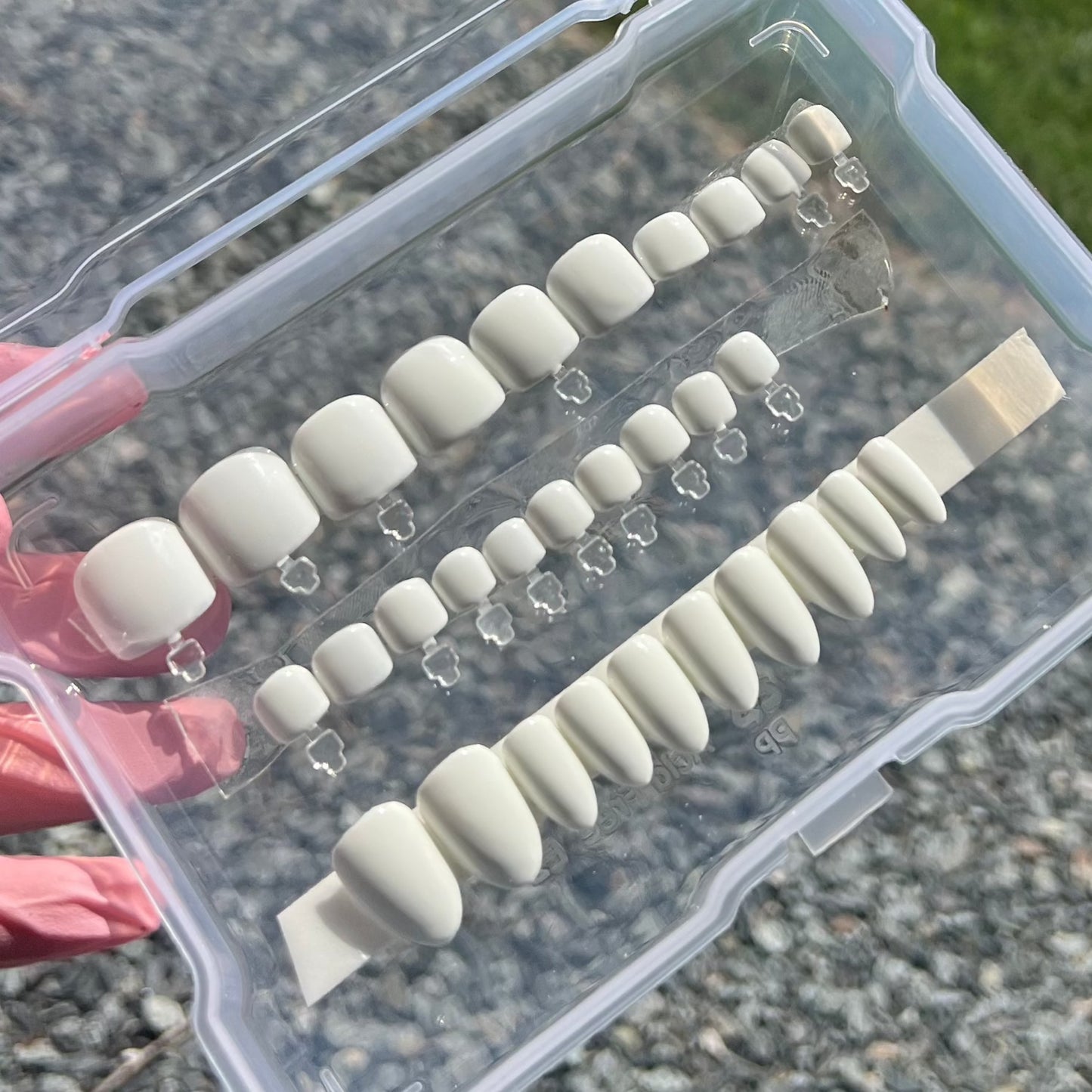 Fresh Bundle Set